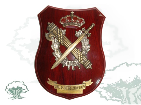 Metopa Curso de Ascenso a Suboficiales de la Guardia Civil