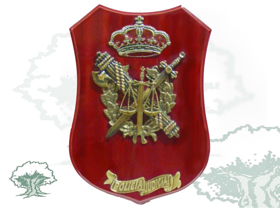 Metopa Policía Judicial Guardia Civil