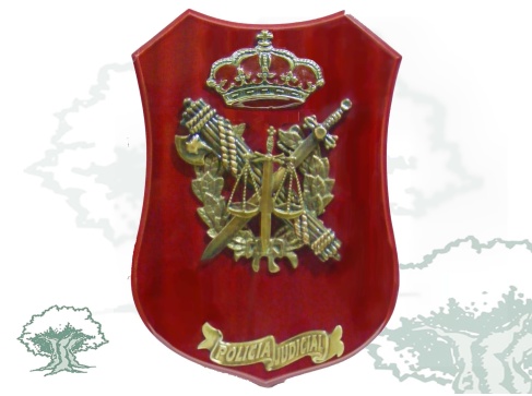 Metopa Policía Judicial de la Guardia Civil