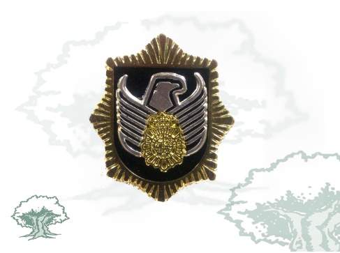 Distintivo de permanencia GOES de la Policía Nacional