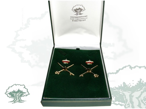 Divisas General de Brigada