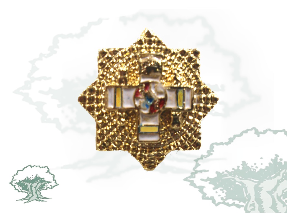 Pin Gran Placa Mérito Militar distintivo amarillo