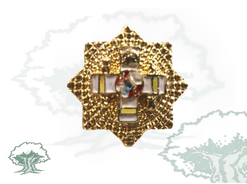 Pin Gran Placa Mérito Militar distintivo amarillo