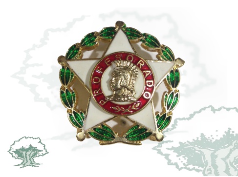 Distintivo de permanencia Profesorado Escala Oficial