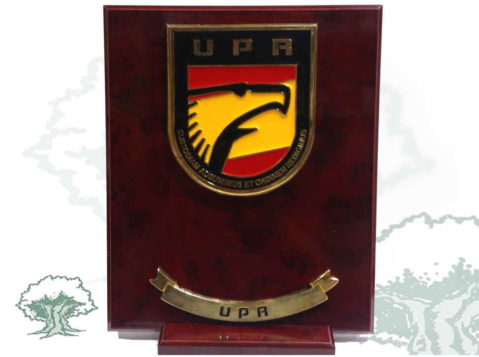 Metopa UPR Policía Nacional