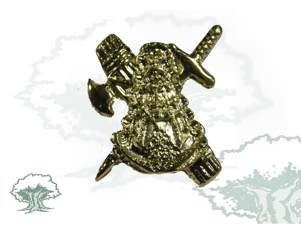 Pin Virgen del Pilar sobre emblema Guardia Civil dorado