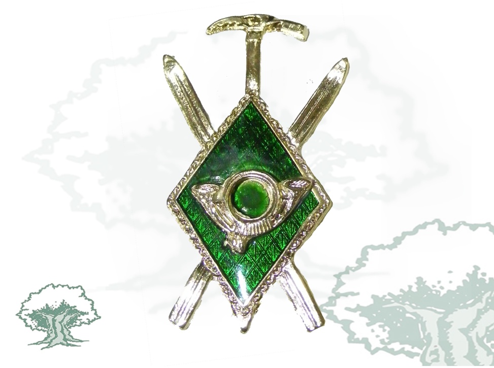 Distintivo Curso Superior de Montaña Ejército