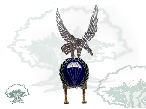 Distintivo de permanencia Brigada Paracaidista