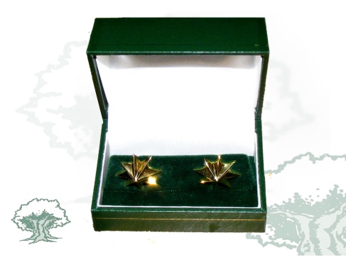 Estrellas 8 puntas de plata