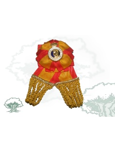 Escarapela Permanencia Enseñanza Ejército