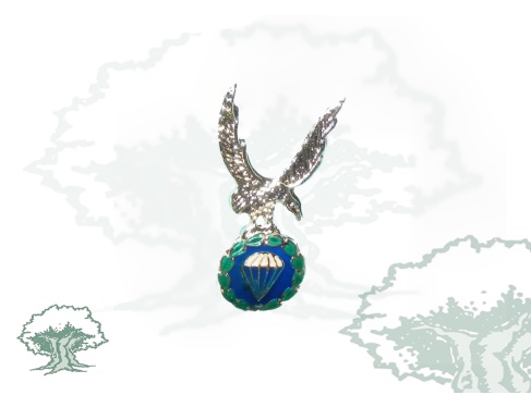 Pin Brigada Paracaidista Ejército perfilado