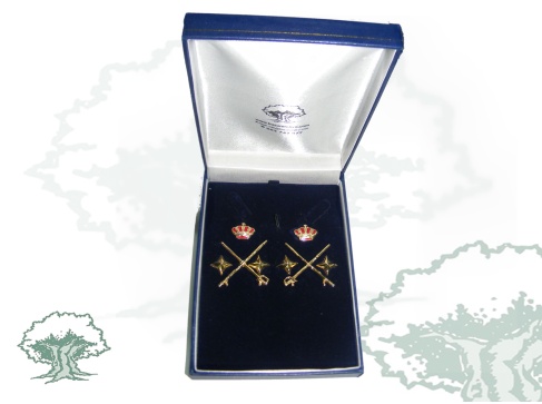 Divisas General de División