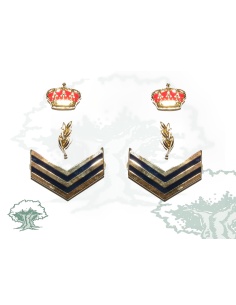 Divisas Oficial Policía Nacional