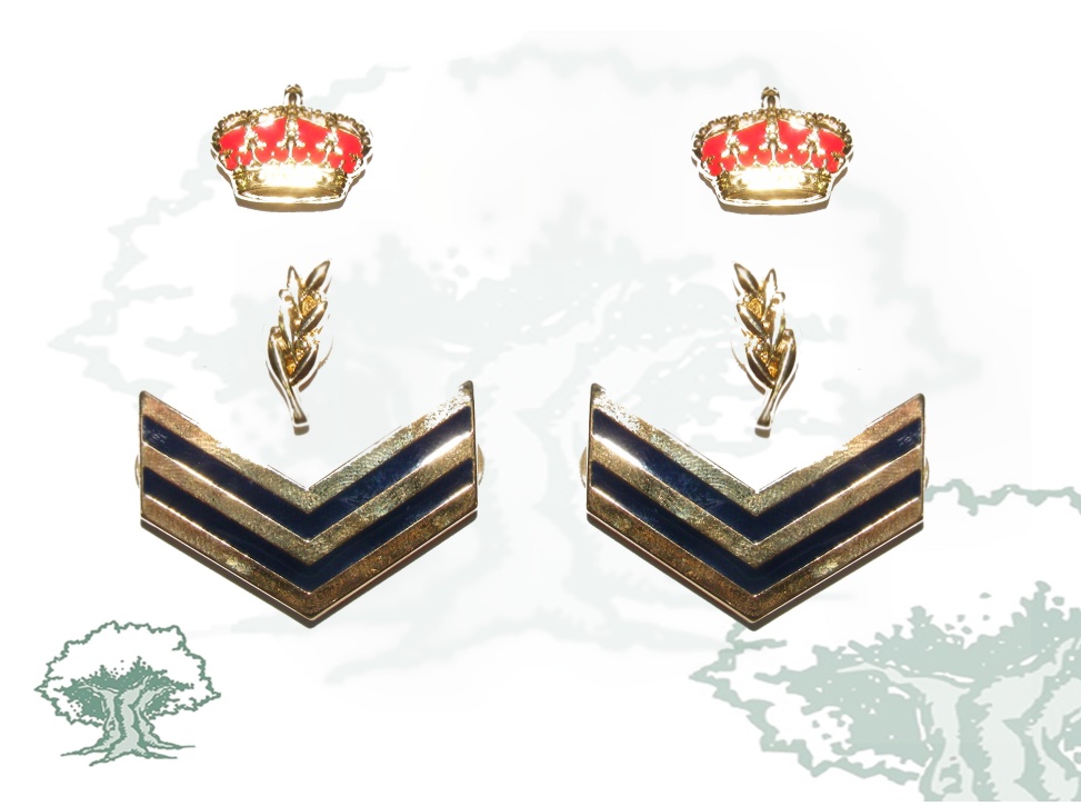 Divisas Oficial Policía Nacional