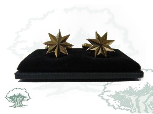 Gemelos estrellas de 8 puntas