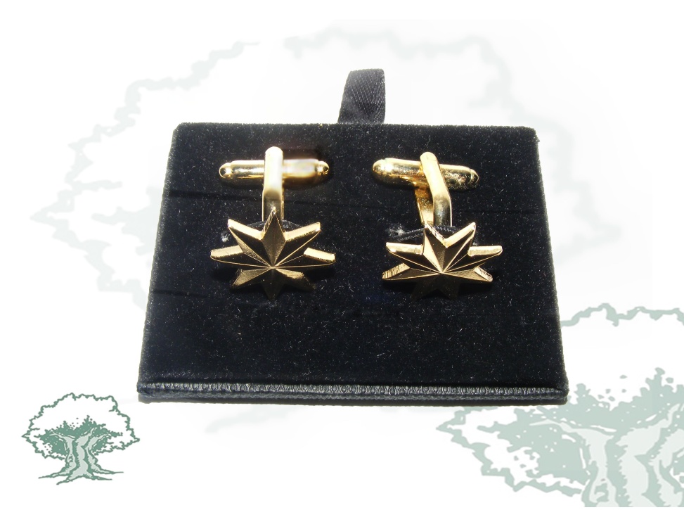 Gemelos estrellas de 8 puntas