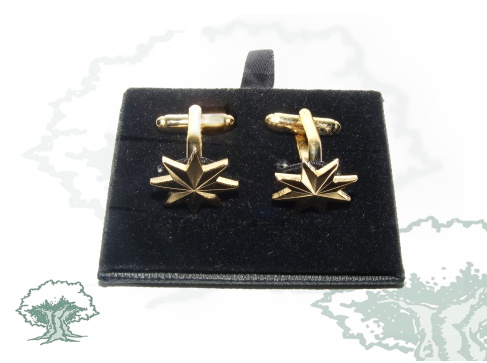 Gemelos estrellas de 8 puntas