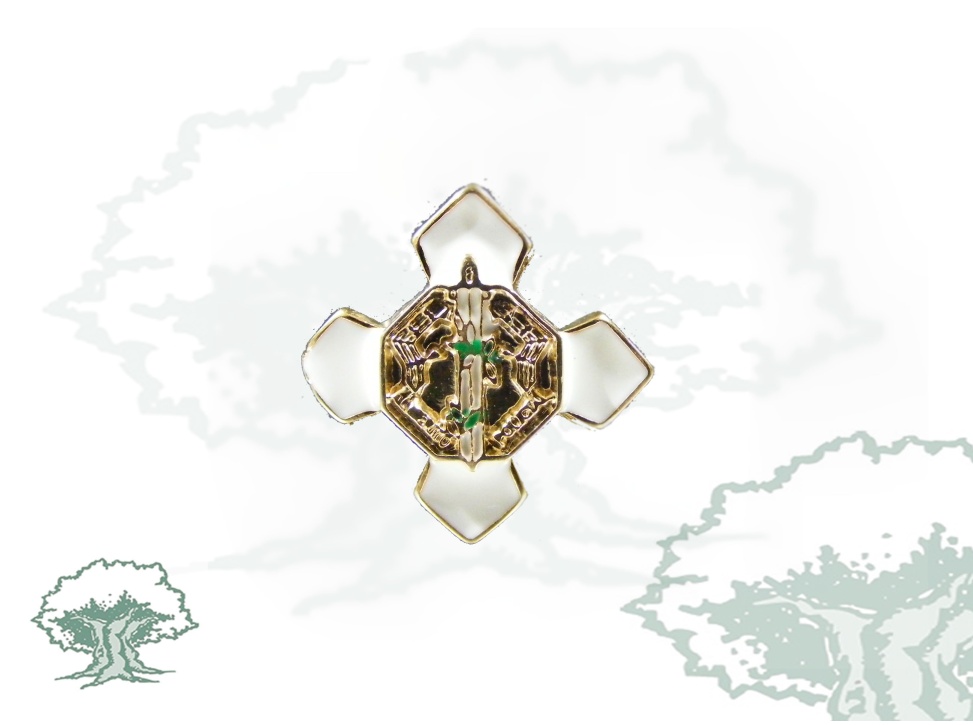 Pin Orden Mérito Policial distintivo blanco