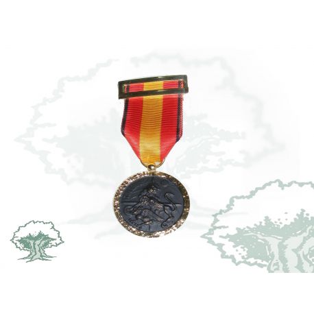Medalla Campaña Primera Línea