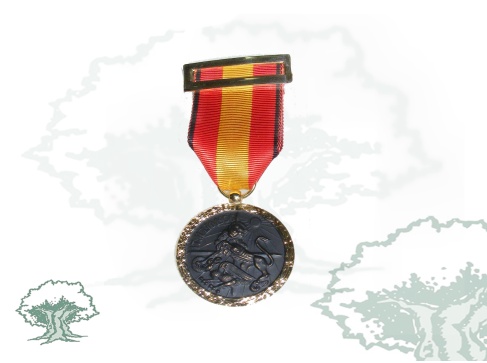 Medalla Campaña Primera Línea