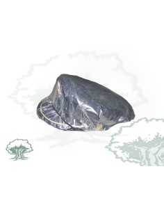 Funda gorra de plato