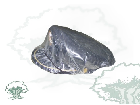 Funda para gorra de plato