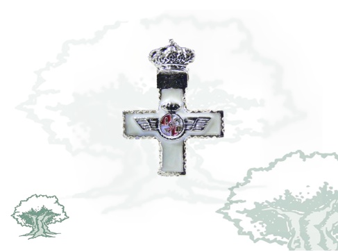 Pin Mérito Militar Aeronáutico