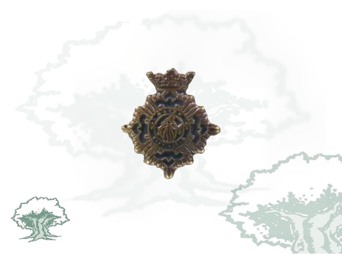 Pin Mérito Social Penitenciaria bronce