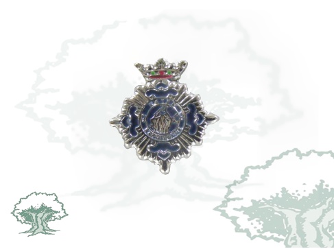 Pin Mérito Social Penitenciaria plata