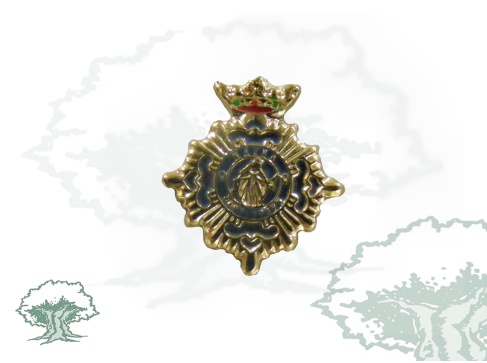 Pin Mérito Social Penitenciaria oro