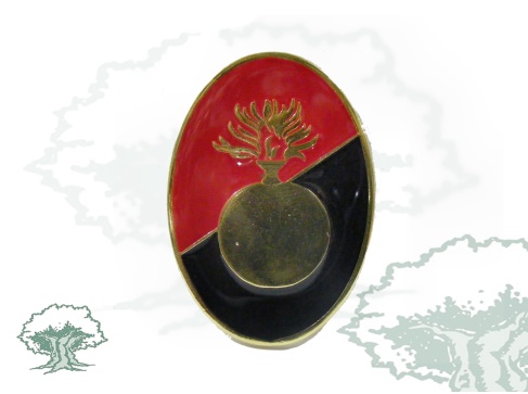 Distintivo Academia General Militar de Artillería