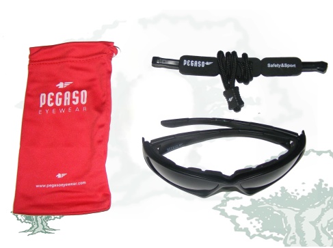 Gafas Policía Nacional Pegaso