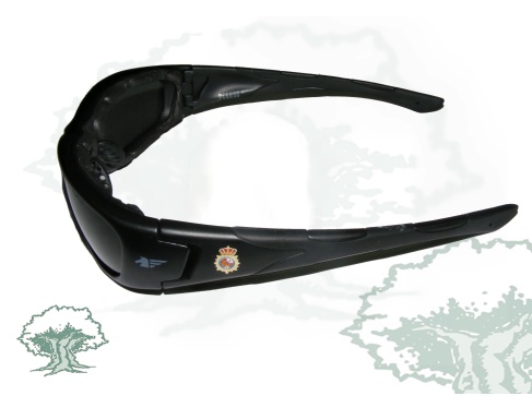 Gafas Policía Nacional Pegaso