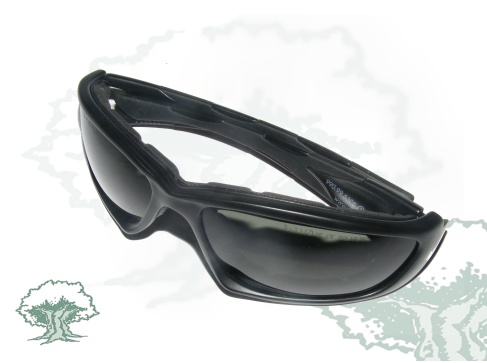 Gafas UPR Policía Nacional Pegaso
