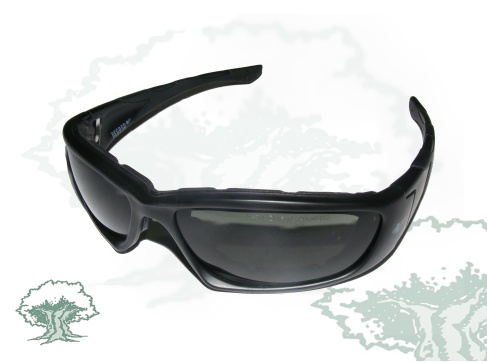 Gafas UPR Policía Nacional Pegaso