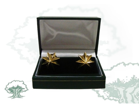 Estrellas 8 puntas bañadas en oro