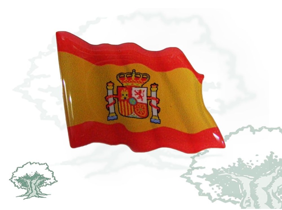 Pegatina bandera España constitucional