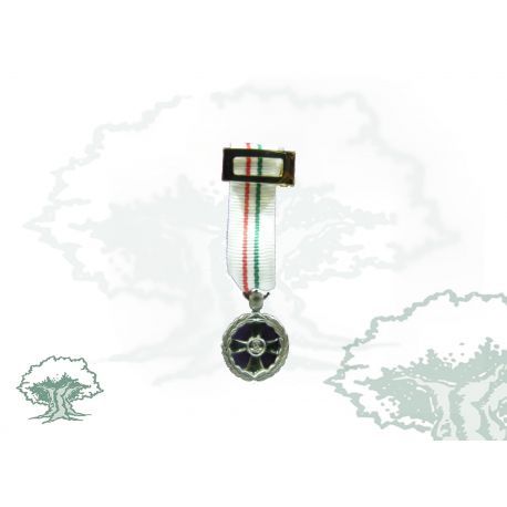 Medalla Mantenimiento de la Paz de Italia miniatura