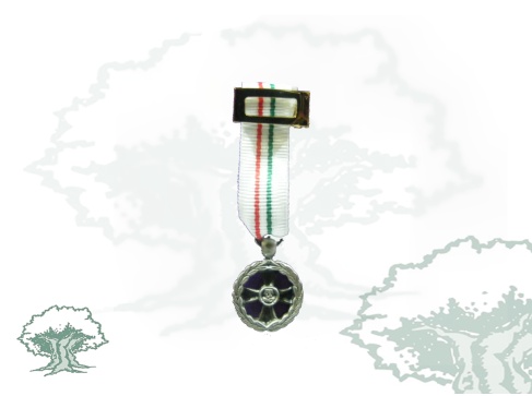 Medalla Mantenimiento de la Paz de Italia miniatura