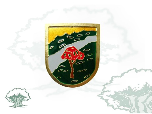 Emblema Guarda Rural antiguo para pecho