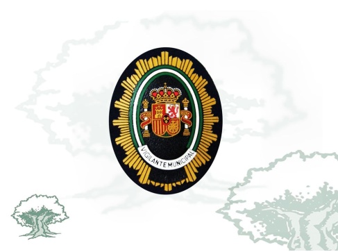 Parche Vigilante Municipal