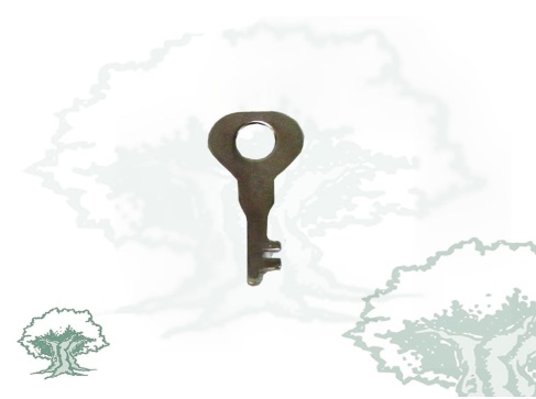 Llave para grilletes plana