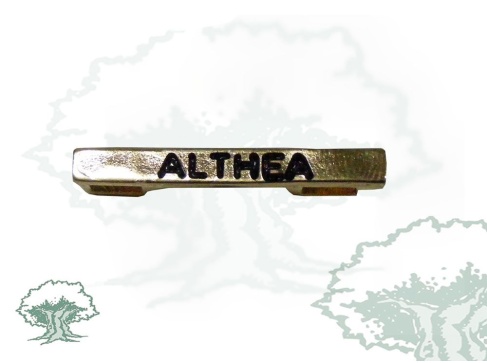 Barra misión Althea