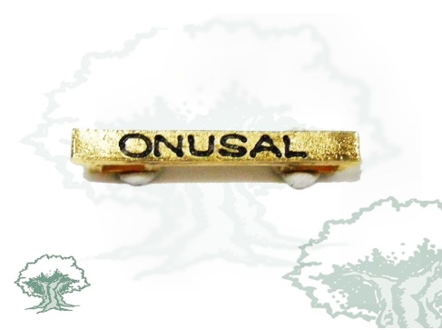 Barra misión Onusal