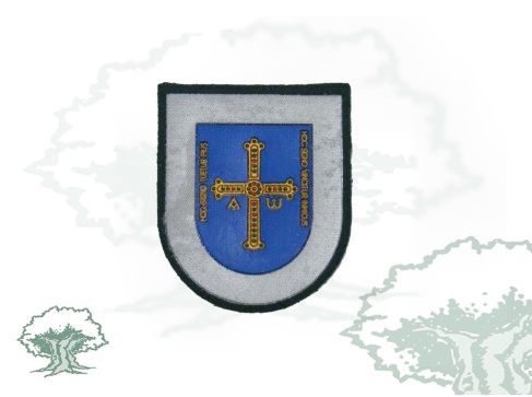 Parche Comunidad Autónoma de Asturias