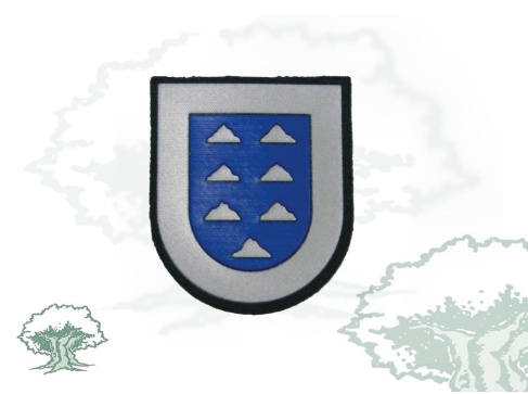 Parche Comunidad Autónoma de Canarias