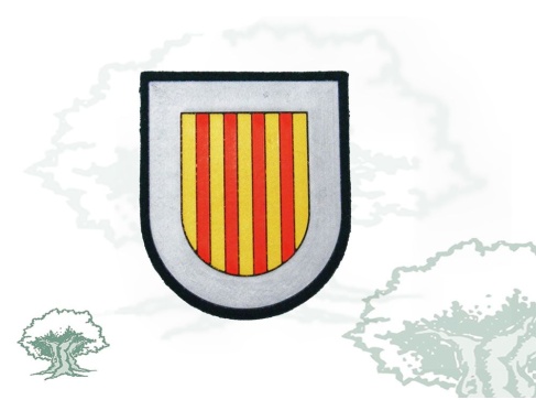 Parche Comunidad Autónoma de Cataluña Parche Comunidad Autónoma de Cataluña