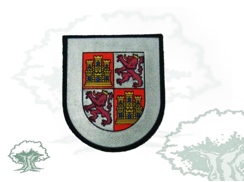 Parche Comunidad Autónoma de Castilla y León