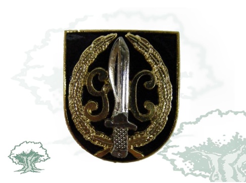 Distintivo de función GAR de la Guardia Civil