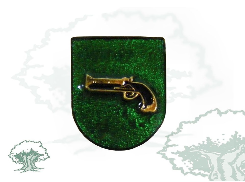 Distintivo de función Intervención de Armas Guardia Civil